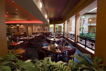 Hotel Marriott Hartford/windsor Airport Windsor